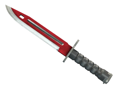 ★ Bayonet | Autotronic (Well-Worn)