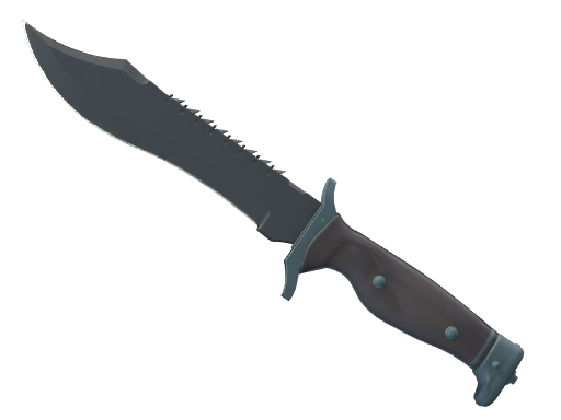 ★ Bowie Knife | Night (Battle-Scarred)