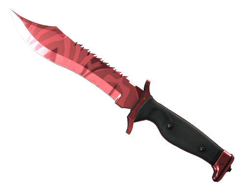 ★ Bowie Knife | Slaughter (Field-Tested)