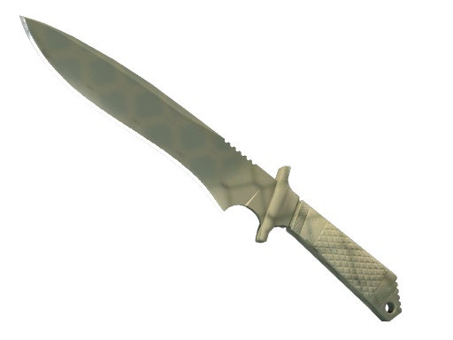 ★ Classic Knife | Safari Mesh (Battle-Scarred)