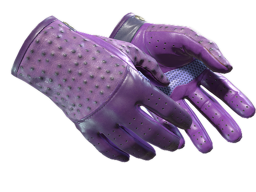 ★ Driver Gloves | Plum Quill (Battle-Scarred)