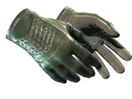 ★ Driver Gloves | Racing Green (Well-Worn)
