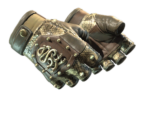 ★ Hydra Gloves | Rattler (Battle-Scarred)