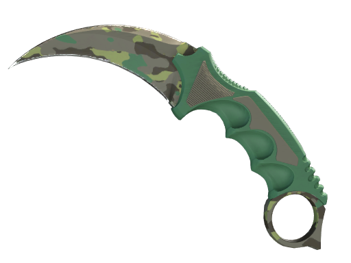 ★ Karambit | Boreal Forest (Field-Tested)