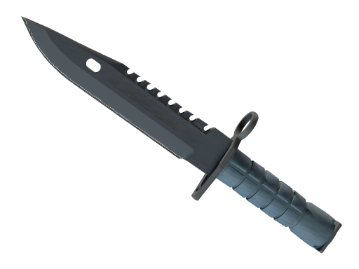 ★ M9 Bayonet | Night (Well-Worn)