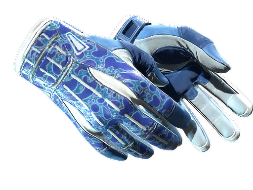 ★ Sport Gloves | Amphibious (Battle-Scarred)