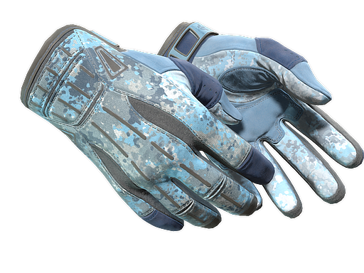 ★ Sport Gloves | Frosty (Field-Tested)