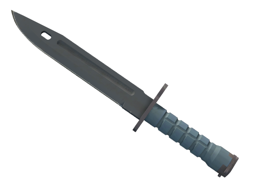 ★ StatTrak™ Bayonet | Night (Field-Tested)