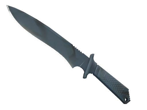★ StatTrak™ Classic Knife | Night Stripe (Field-Tested)