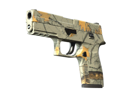 P250 | Modern Hunter (Field-Tested)