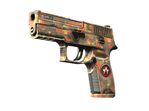 P250 | Red Rock (Battle-Scarred)