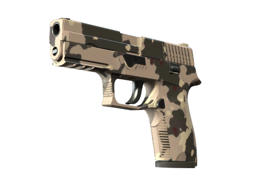Souvenir P250 | Black & Tan (Well-Worn)